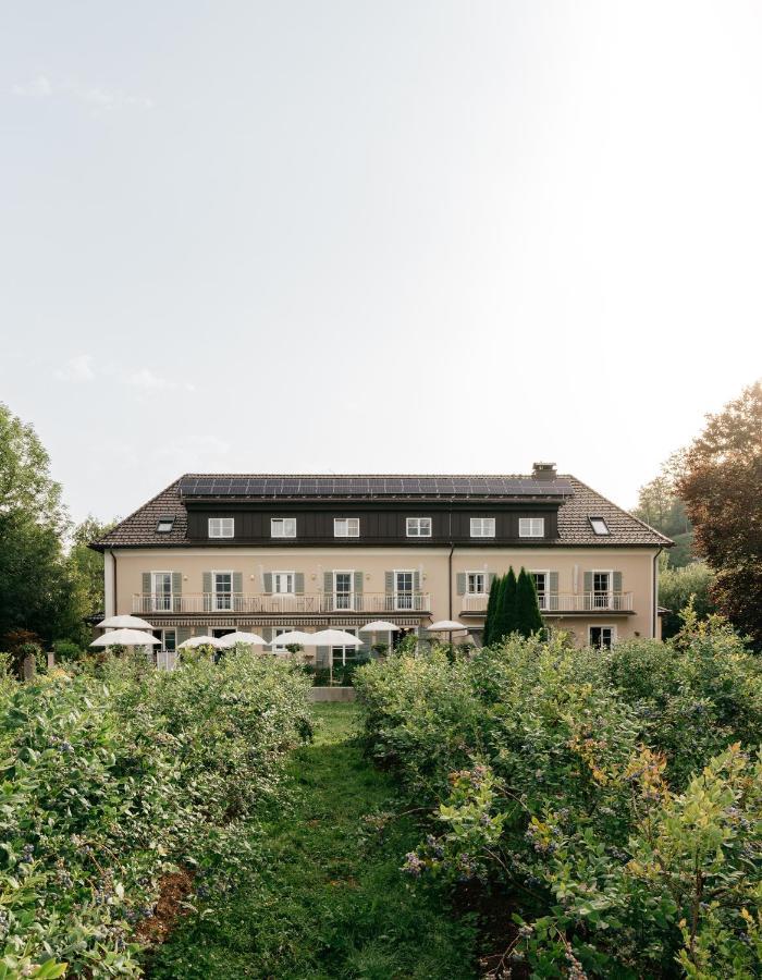Apartahotel Numa Salzburg Ivy